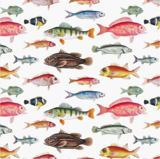 Cuvier’s Fish Gift Wrap